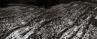 Landscapes Series